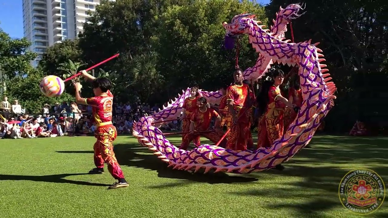 2025-02-08 Dragon and Lion Dance at the Norton Art Museum
