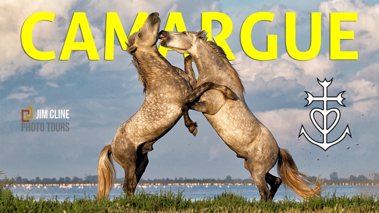 Camargue - A photo tour & workshop with Jim Cline Photo Tours