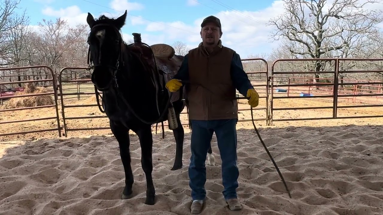 Spade, 1st just get on and ride; also 1st time outside 