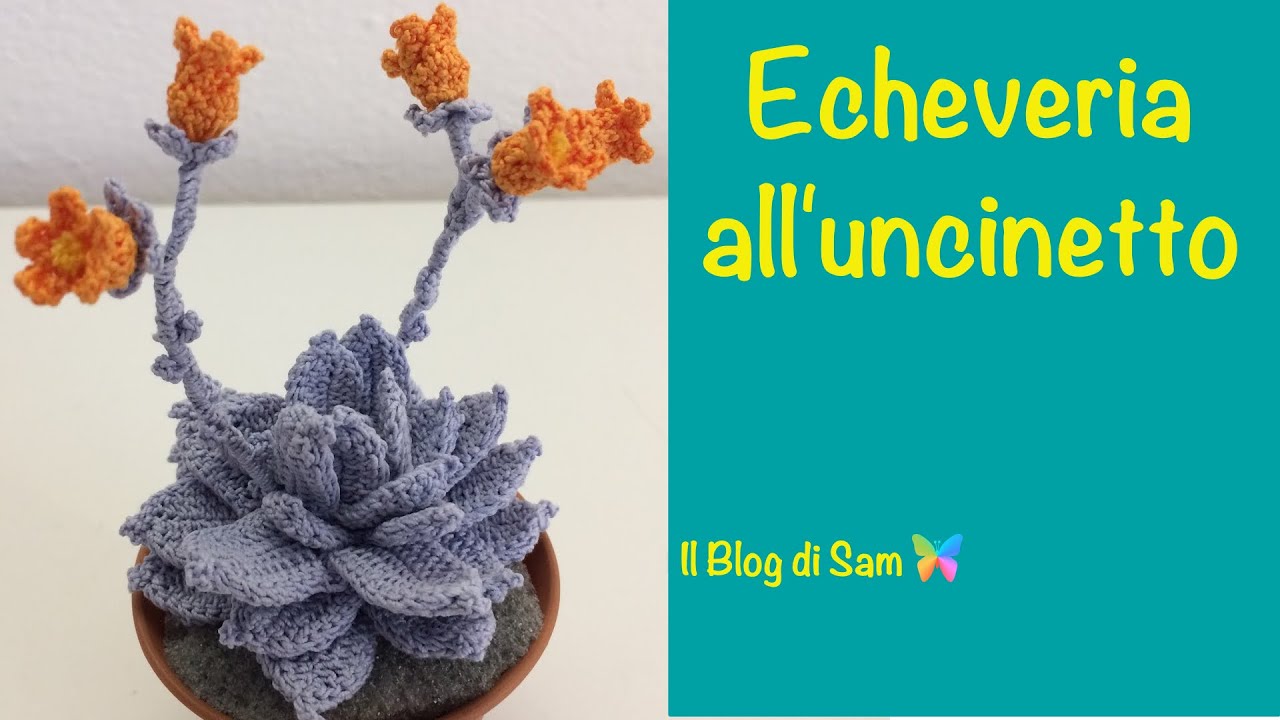 Spiegazione dell' Echeveria all'uncinetto