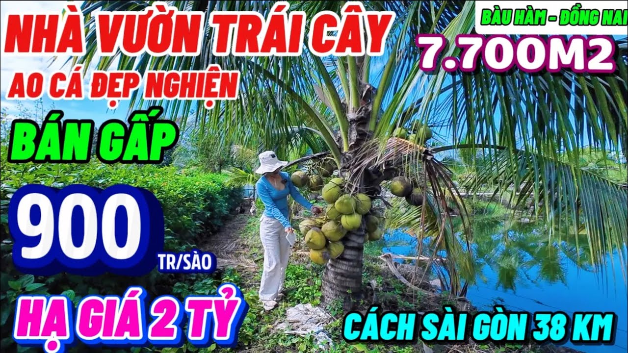 Nhà đất đồng nai,quá rẻ hạ giá 2 tỷ bán gấp 7 sào 7 Nhà vườn trái cây ao cá view suối cực đẹp 