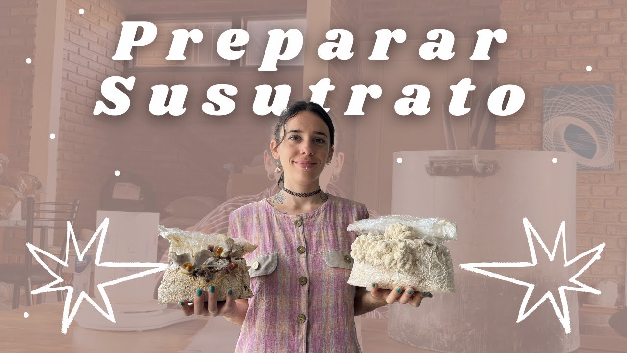 Preparación del sustrato