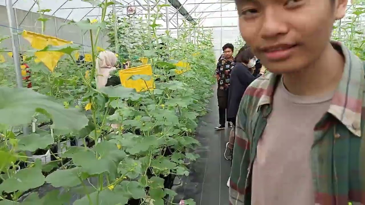 B4_Kemal Hafizhan Zulkarnain_505912_Maria Agustin Ningsih