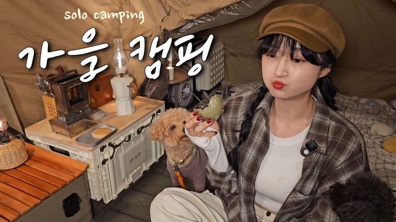 소나무 숲속 작은텐트에서 강아지와 하룻밤ㅣ화목난로 개시ㅣ숯불 조개구이ㅣ어묵탕에 정종ㅣ솔캠ㅣ애견동반캠ㅣ캠핑브이로그