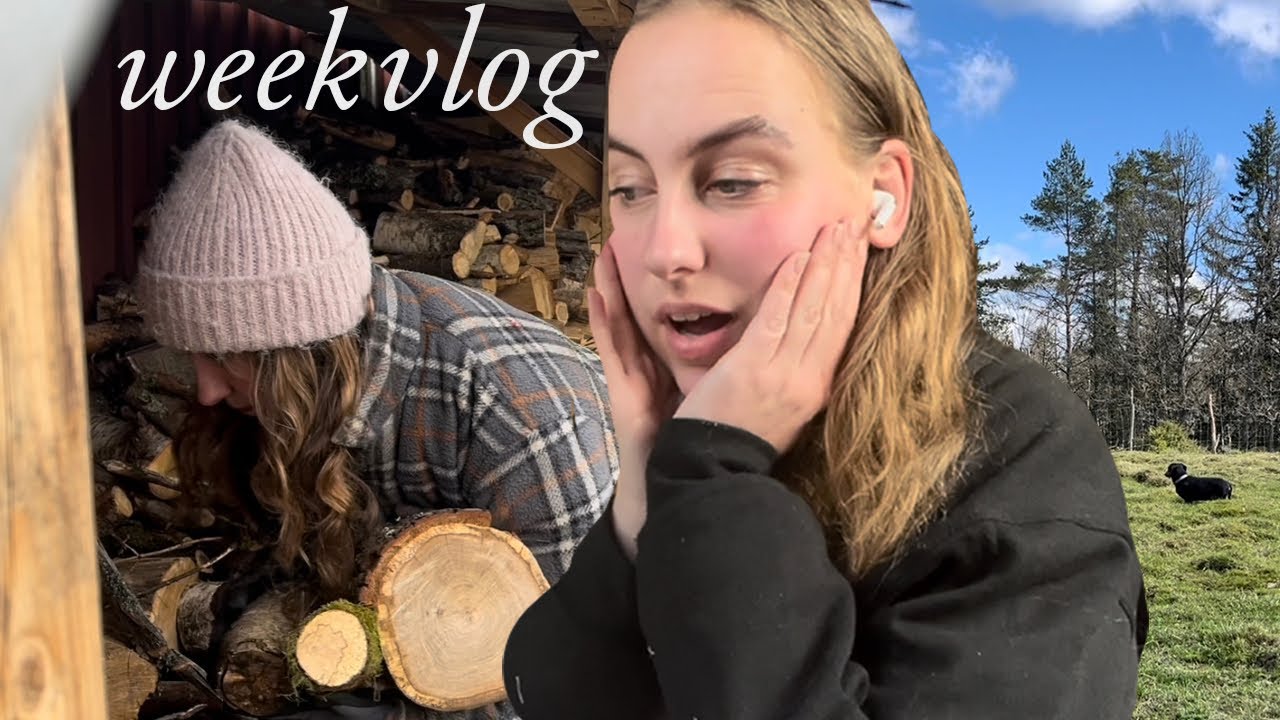 Lilly speelt met de lammetjes en een leuk vooruitzicht!  | Weekvlog #40 Slowliving in Zweden
