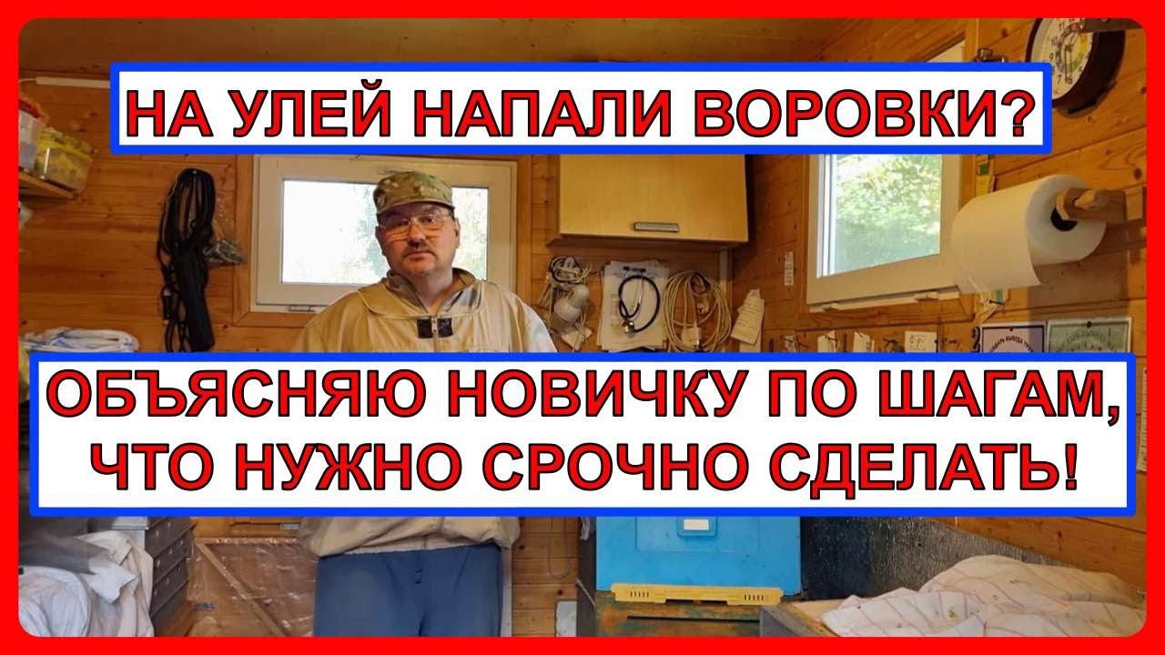 📕 Это надо сделать на 💯%. Если улей подвергается нападу пчел-воровок. Пчеловодство для начинающих 📕