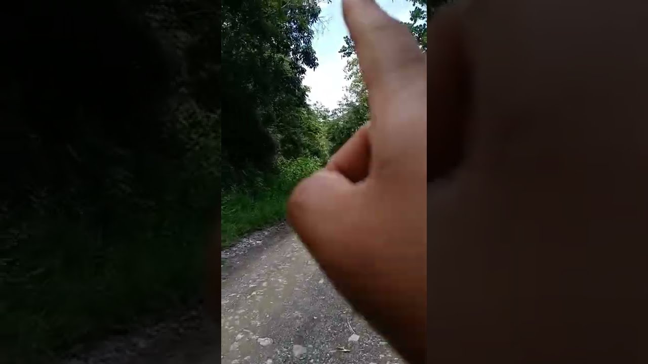 De camino Cuamelco a chahuatlan (17 de junio 2022) 2