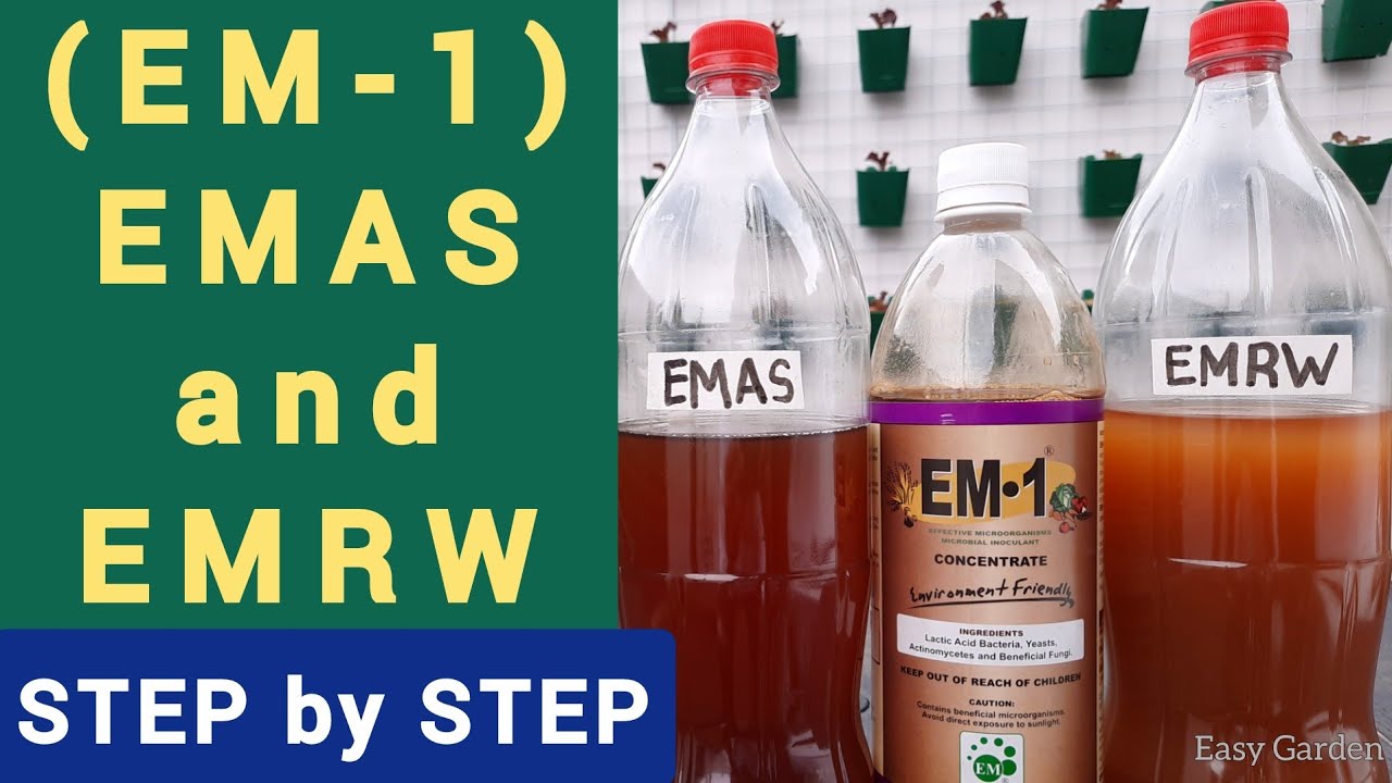 EMAS and EMRW from EM1 step by step