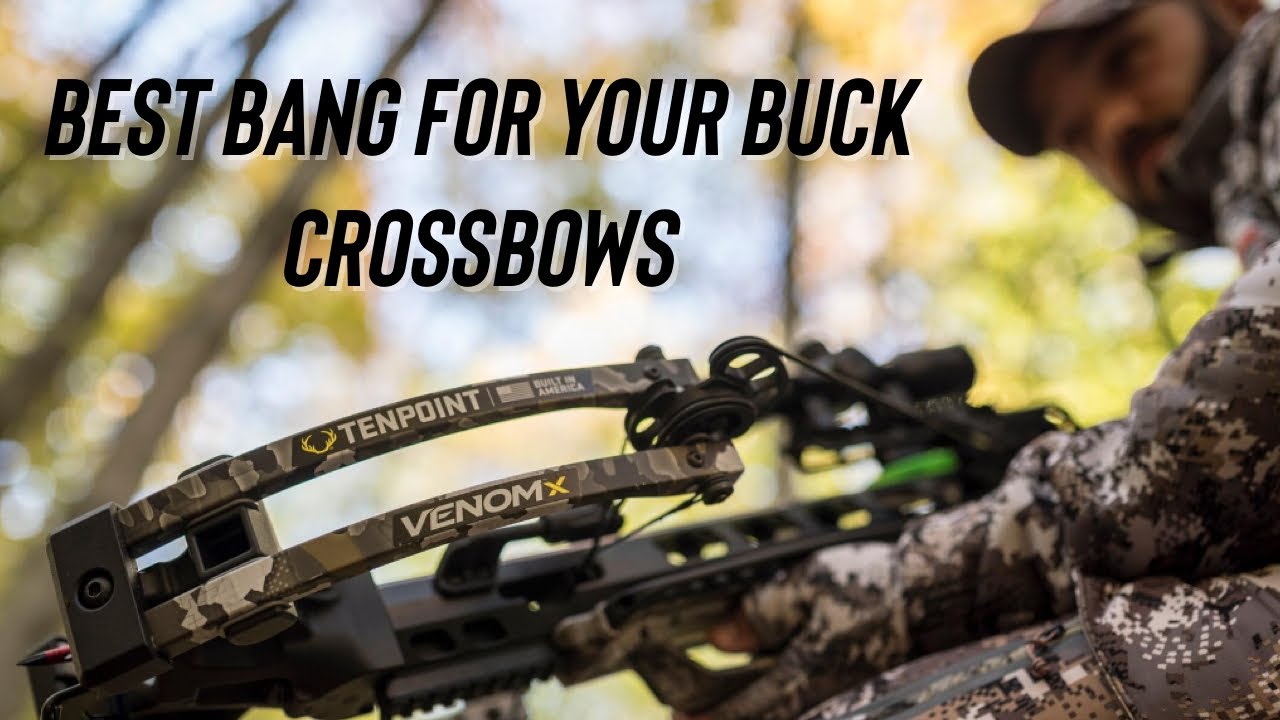 Best Bang For Your Buck Crossbows at CrossbowExpert.com