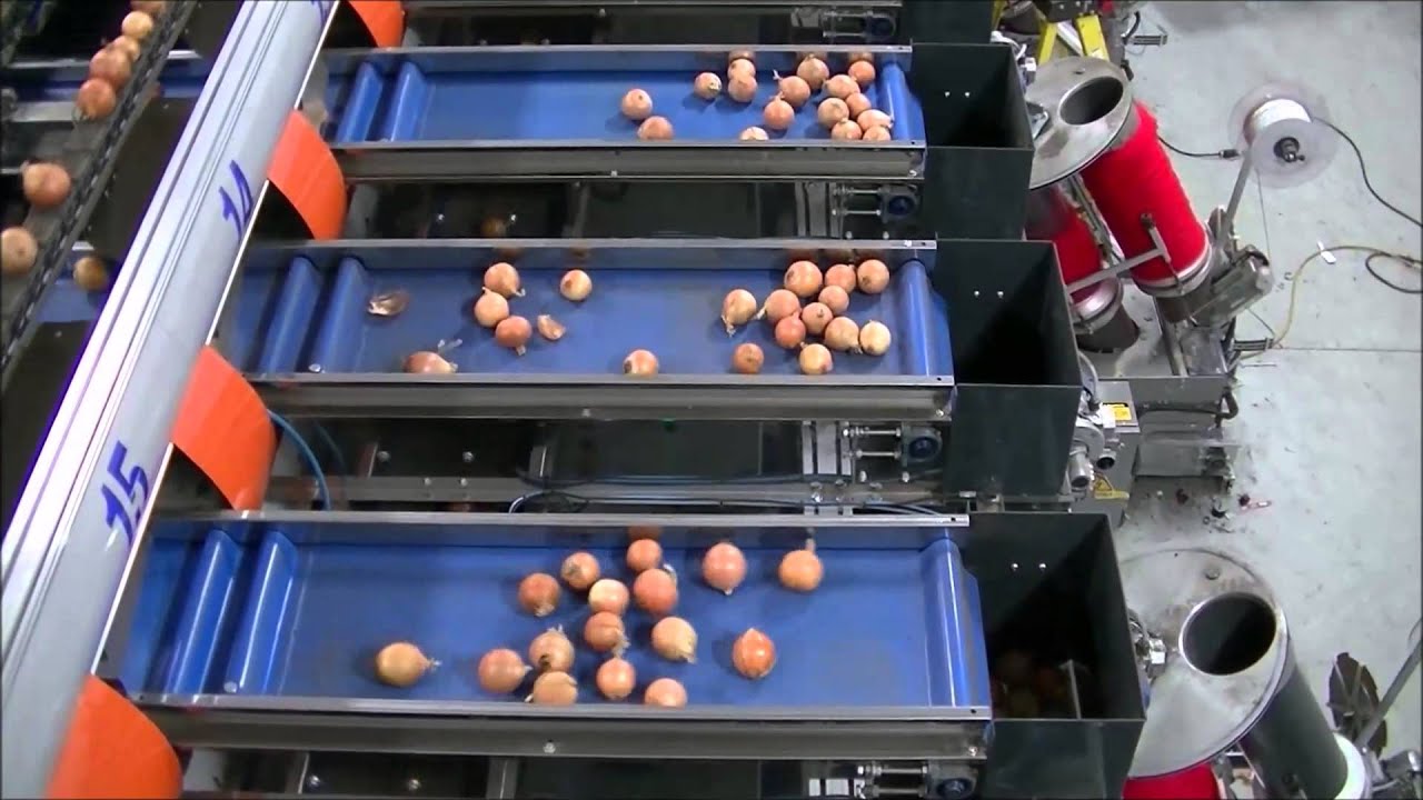Onion System