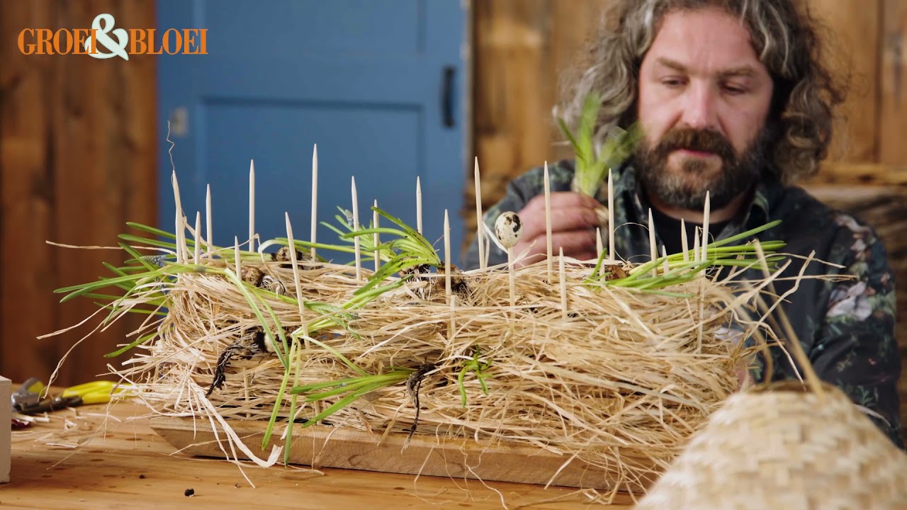 Verrassend nest op de paastafel door Pim van den Akker