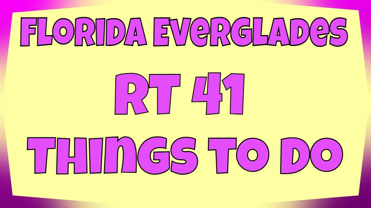 Florida Everglades Route 41 | Things to Do