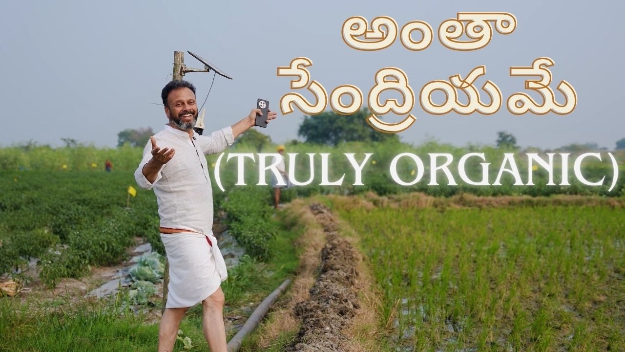 Organic Farming Explained 🌱 | How Natural Food Is Really Grown