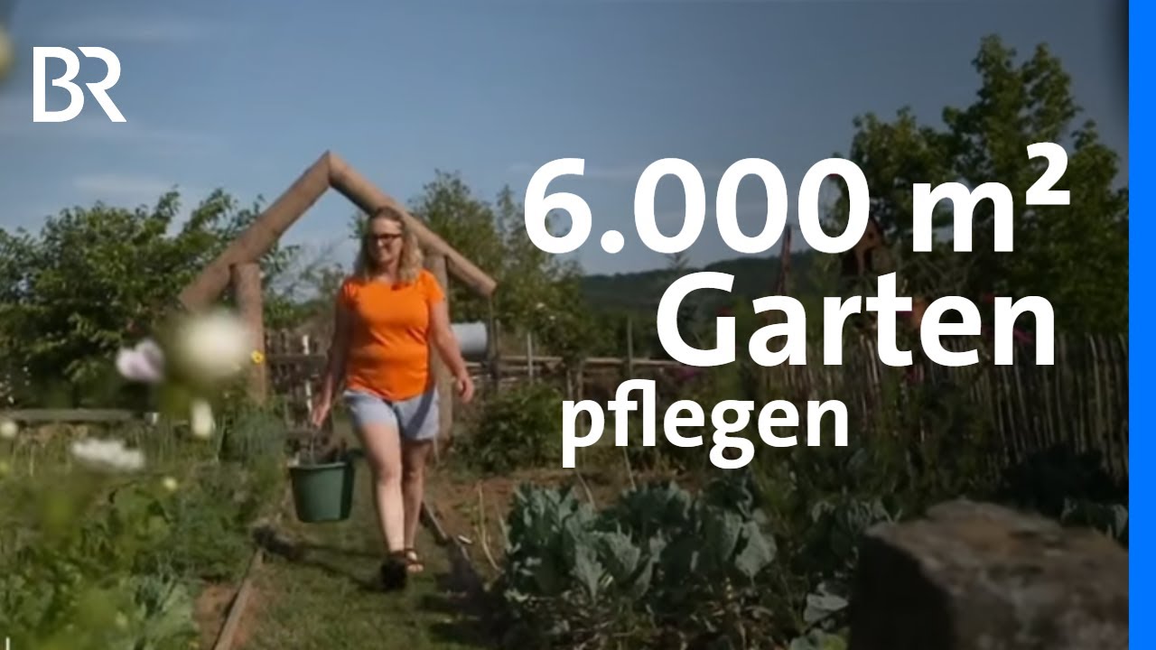 Riesigen Garten pflegen: Von der Mini-Kiwi über den Bierkeller zur Zwetschge | Frankenschau | BR