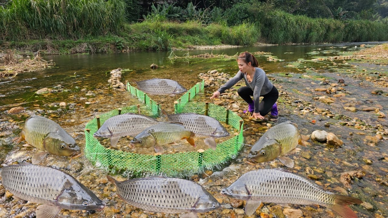 Fishing in the stream using traditional methods. The girl caught a lot of fish.