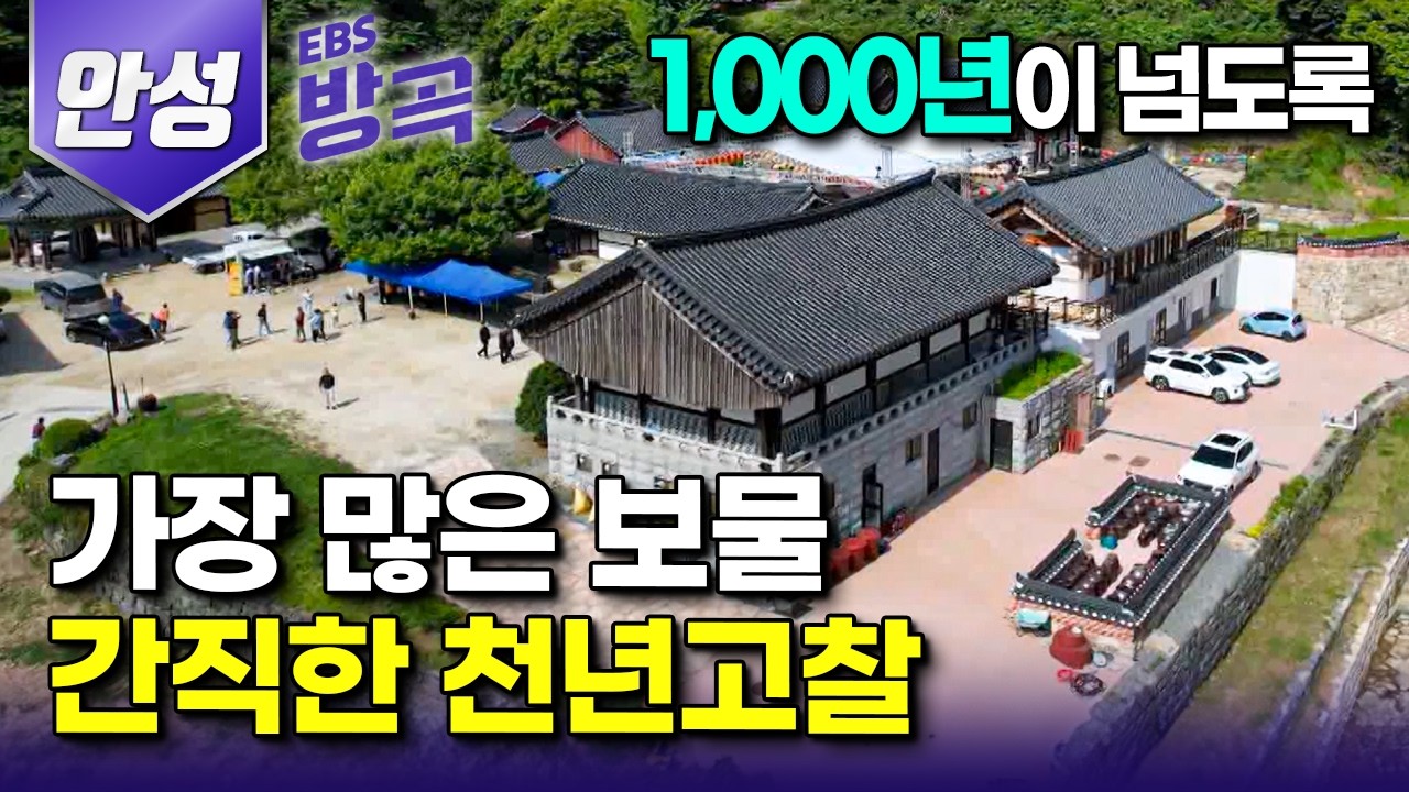 [경기 안성] '하루 방문객 1,300명' 경기도에서 가장 많은 보물을 간직한 천년고찰, 칠장사┃누굴 태울지, 어디로 갈지, 다 맘대로인 이상한 버스┃금광호수┃#고향민국 #방방곡곡