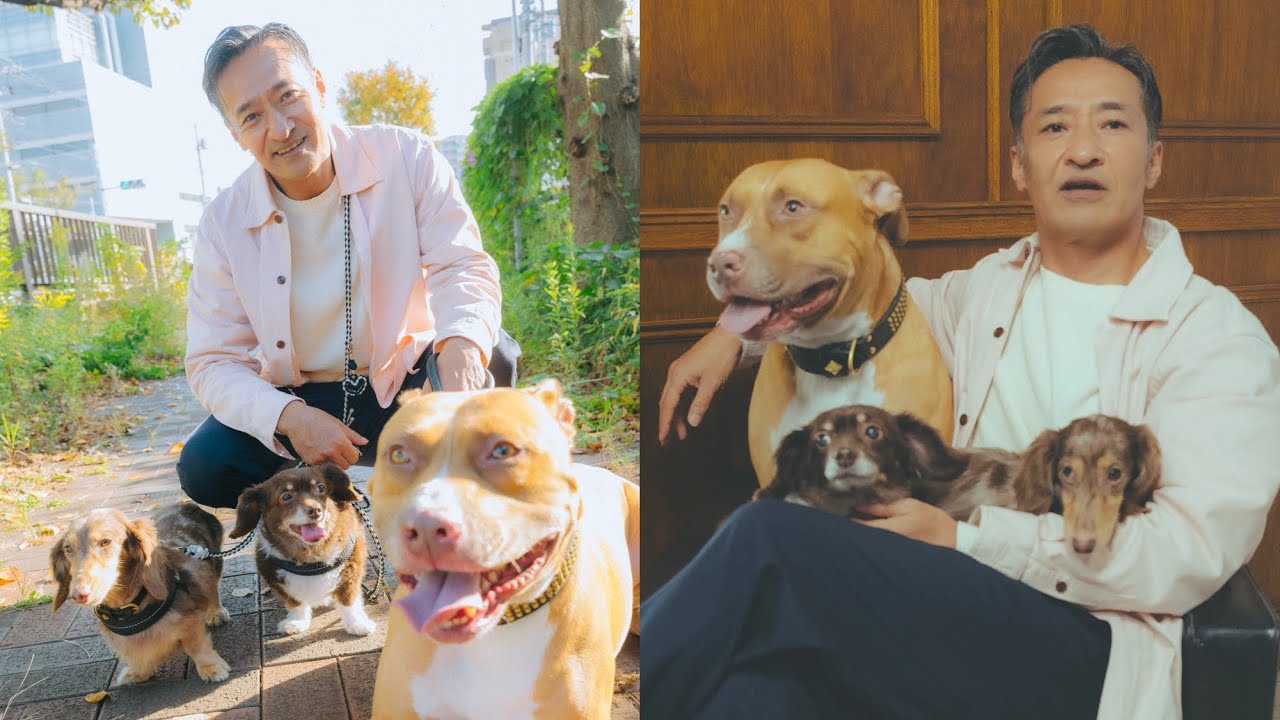 【日本統一】山口祥行さんが愛犬3匹を連れて遊びにきてくれました！（月刊わんこ撮影オフショット）