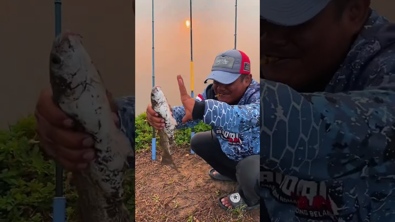 Mancing belanak jogja