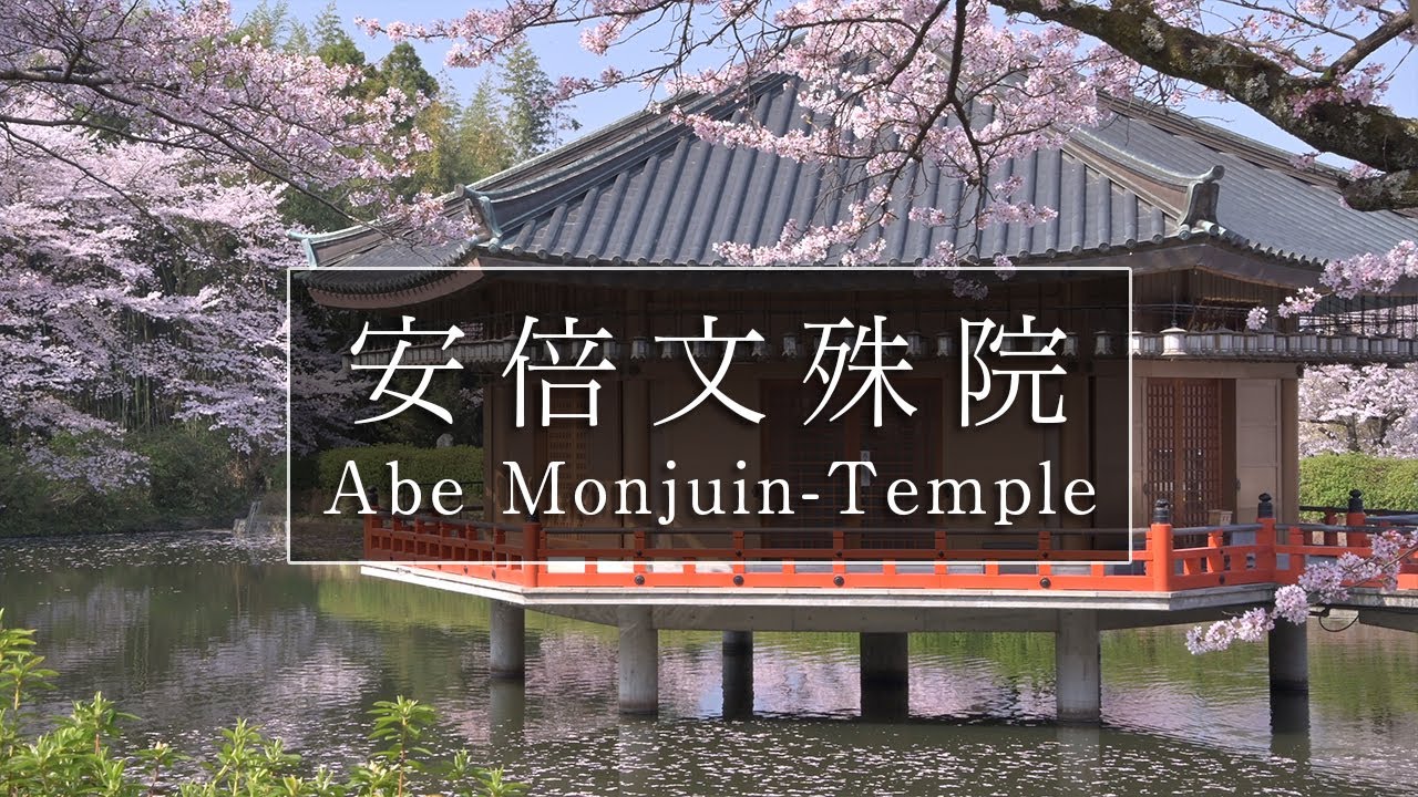 桜が咲き誇る文殊菩薩様のお寺「安倍文殊院」｜奈良観光コンシェルジュが桜井市のお寺をご紹介：Abe Monjuin-Temple in Sakurai City｜Nara