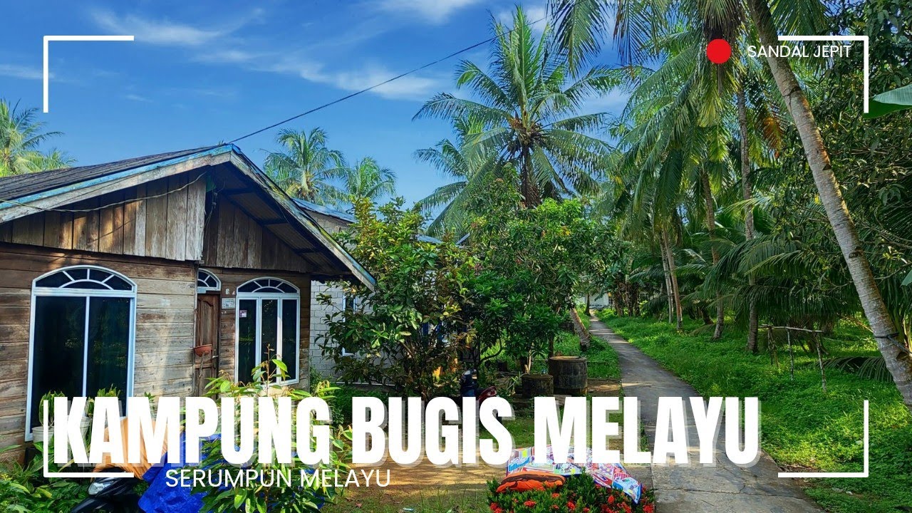 Inilah Kampung Bugis Mayoritas Melayu❗Bugis Melayu