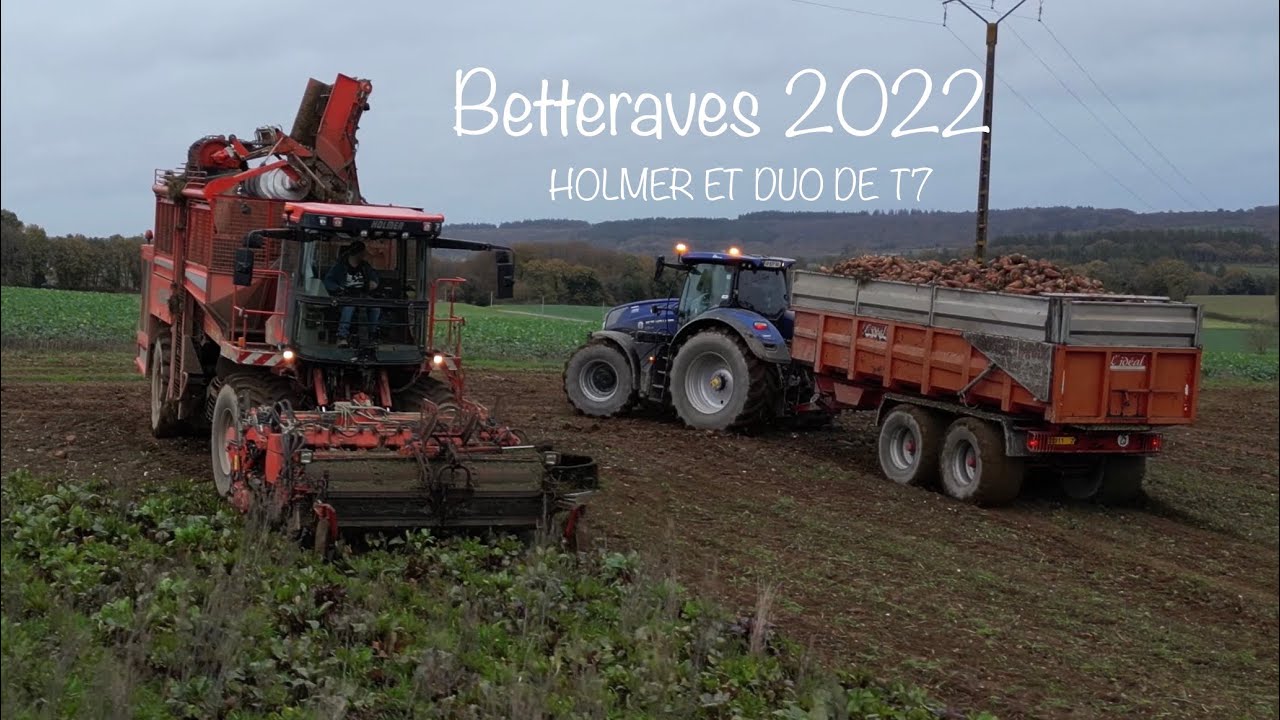 ARRACHAGE DE BETTERAVES 2022 EN CENTRE BRETAGNE PAR L’ETA LE BONHOMME.