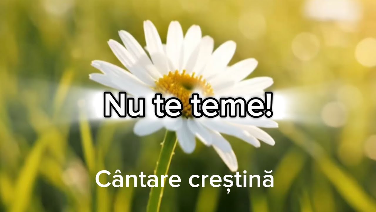 Nu te teme! | Cântare creștină nouă | Versuri - Ana Neagoe 
