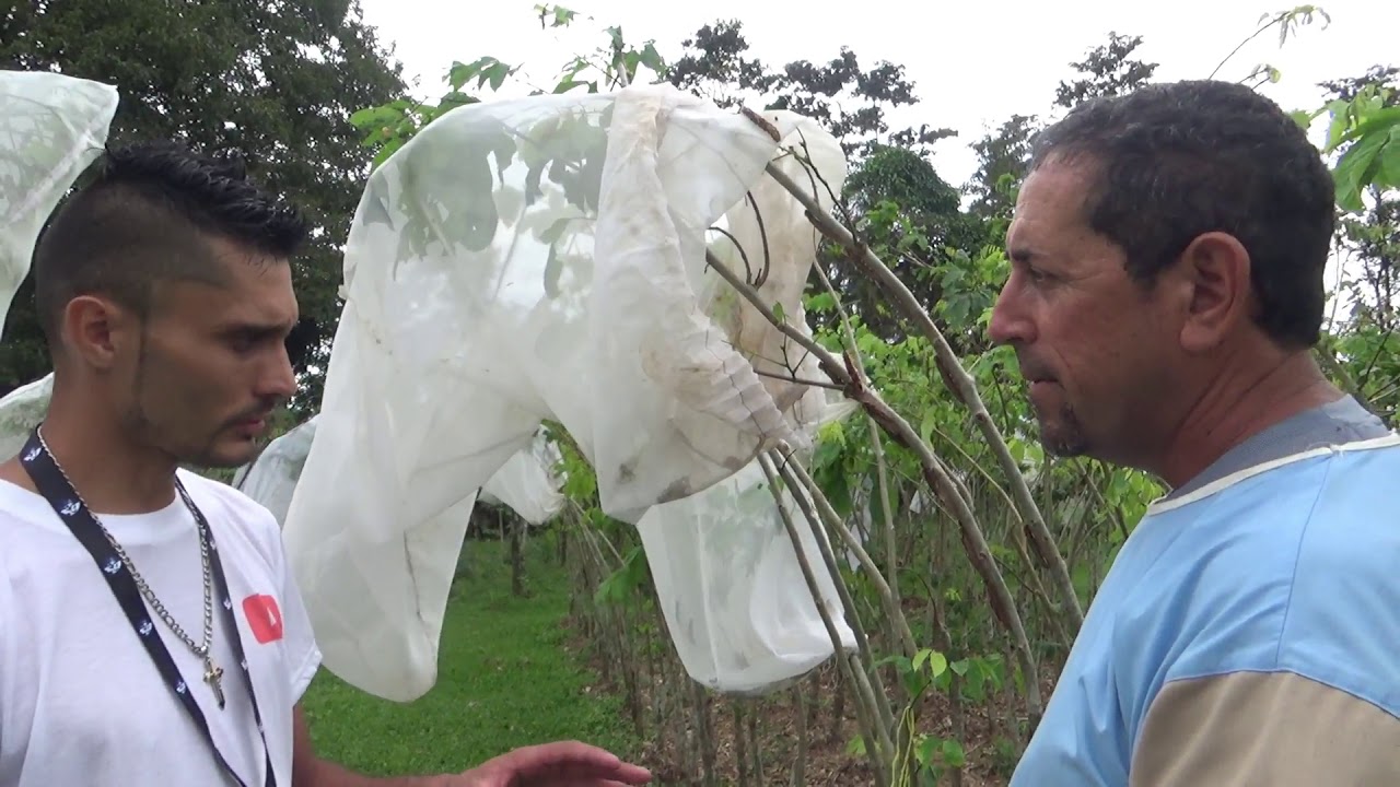 Nos Fuimos a Conocer un Mariposario...