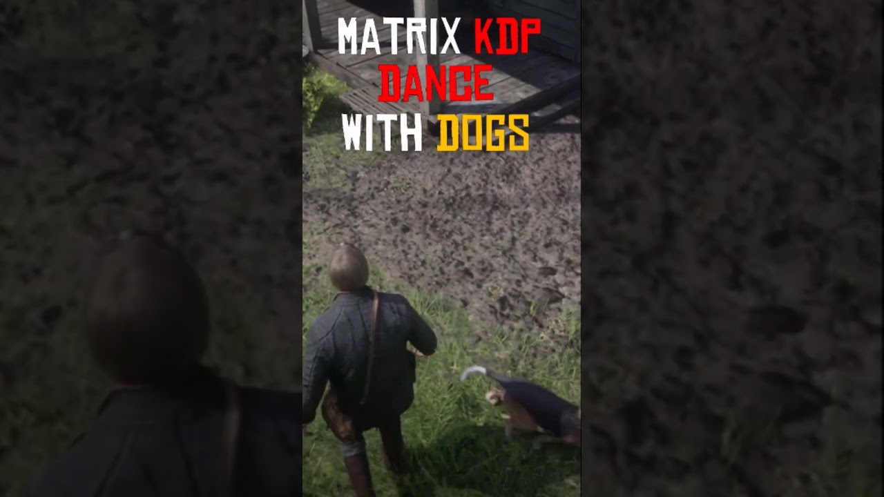 Dancing with Dogs 
