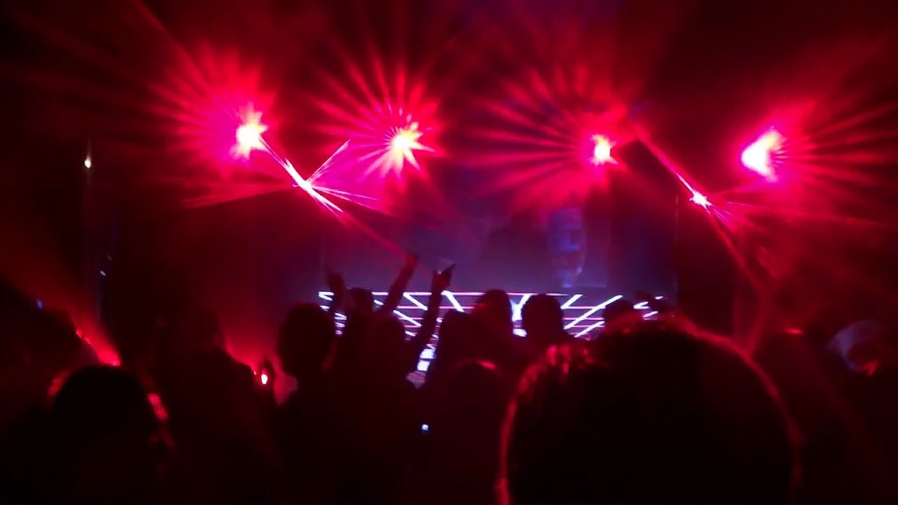 The Space Brothers - Back to the old pool 2019
