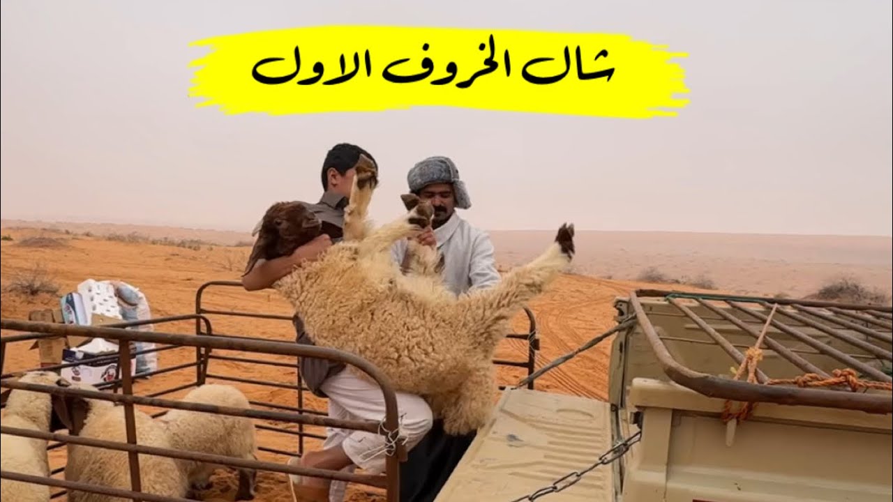 فعاليات حمود شديد وربيع عند البل