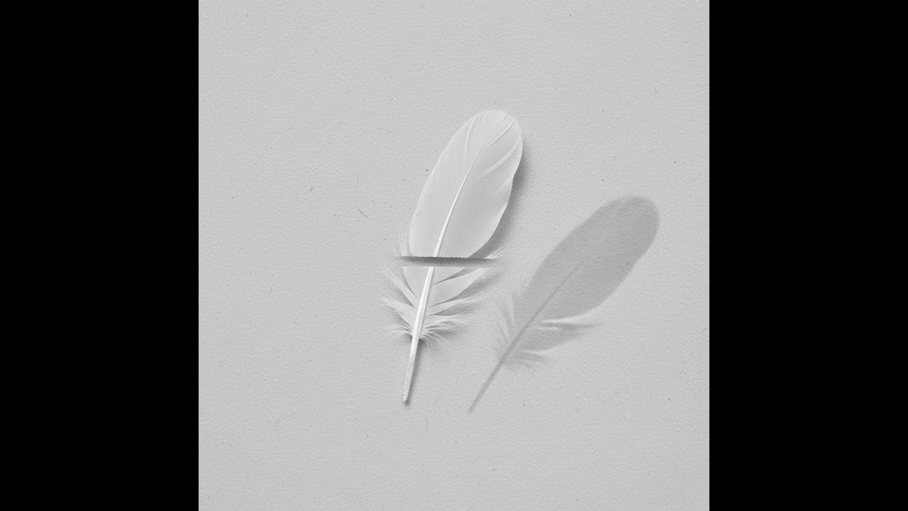We are like fallen birds