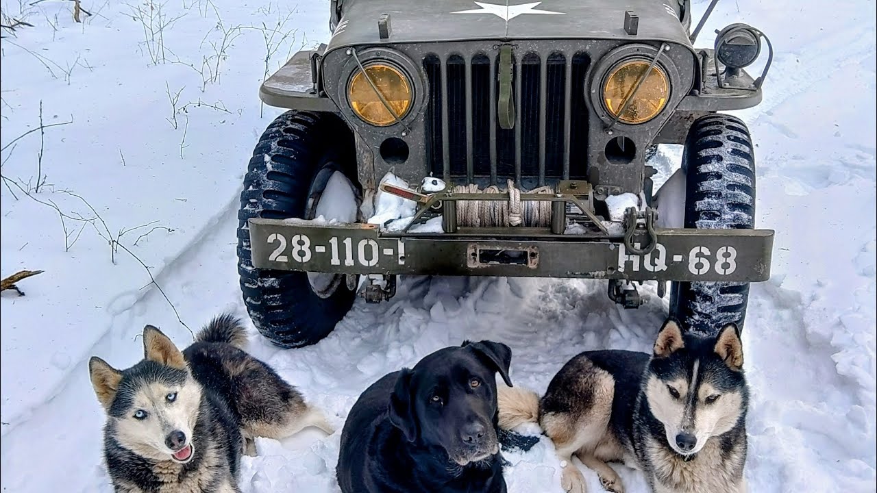 Time to get this darn log off my trail with the 1951 M38 equipped with Ramsey 50R winch and 105 PTO