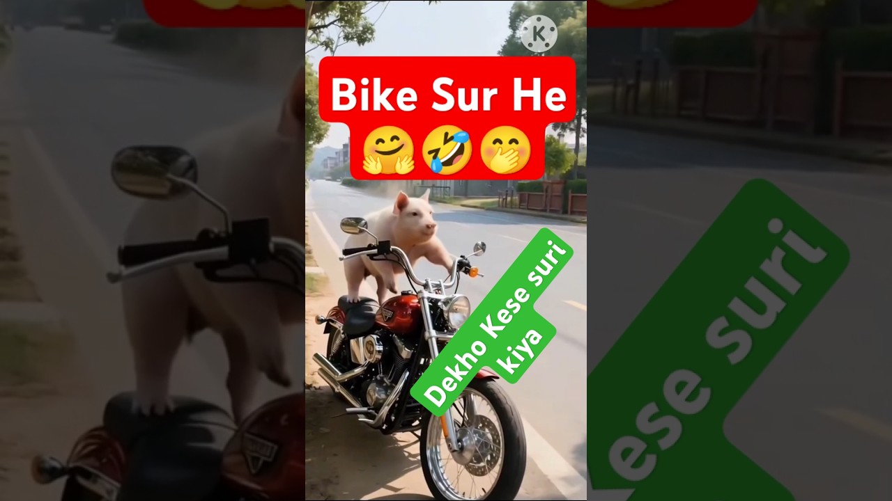 Bike Sur He 🤭🤣🤗 #assamesesong #music #newsong #funny #bike #assamesebihusong #bihusong #bihu #mg