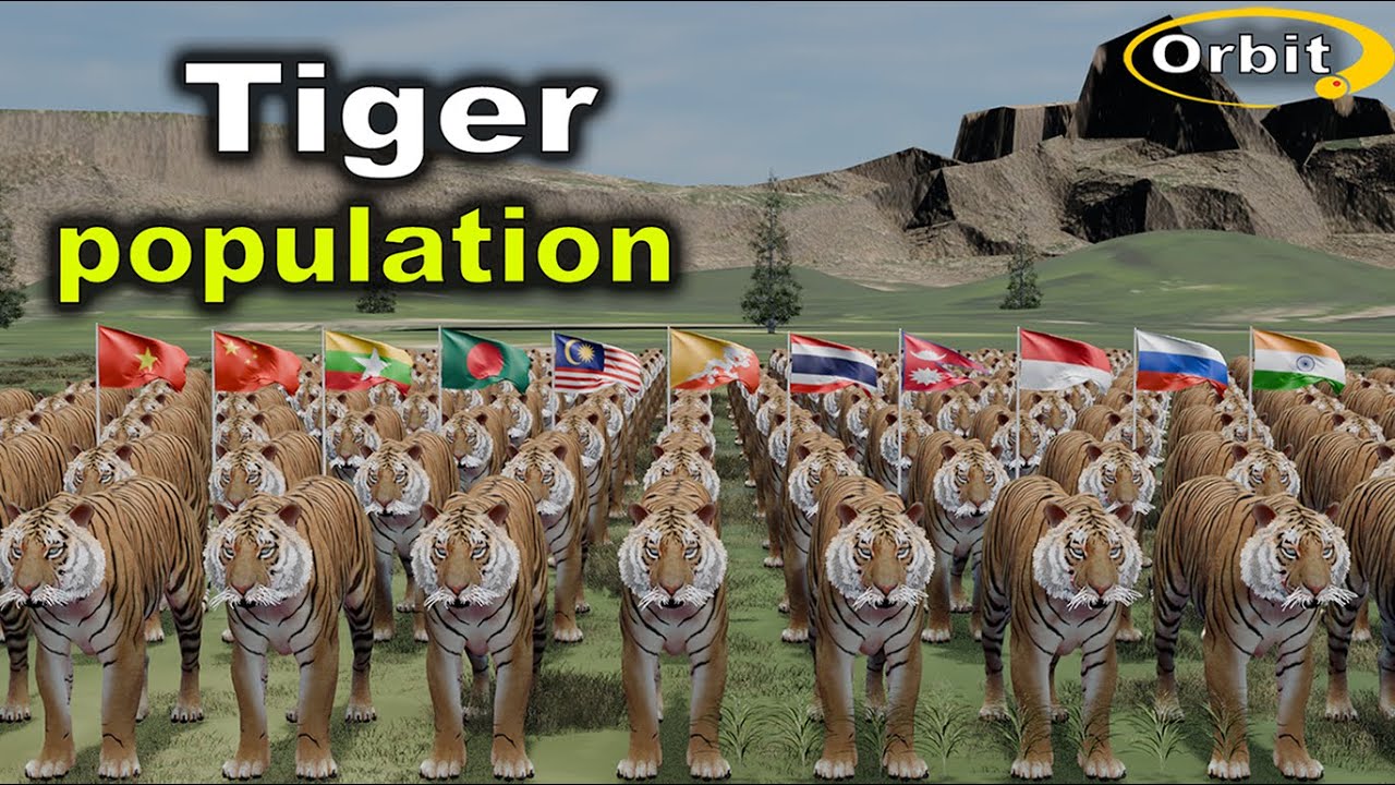 Tiger population by Country 2025