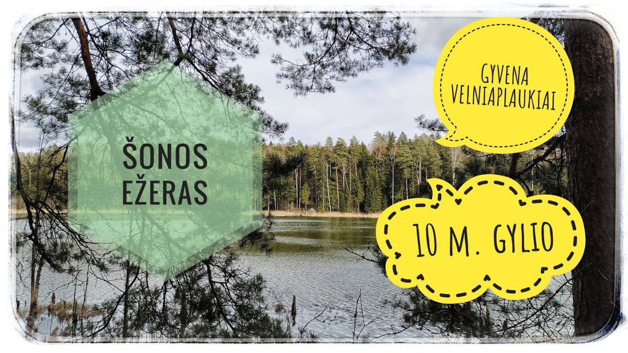 Ežeras, kuriame gyvena velniaplaukiai - &Scaron;ona, Lietuvos gamta