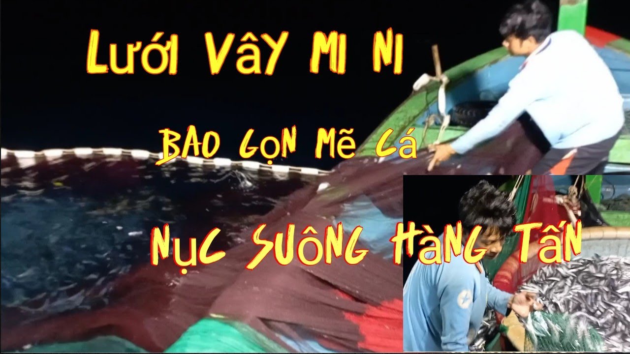 kinh hoàng lưới vây siêu mi ni một mình bao gọn mẽ cá hàng tấn