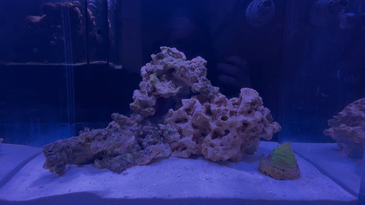 Neptunian cube t45 part 2