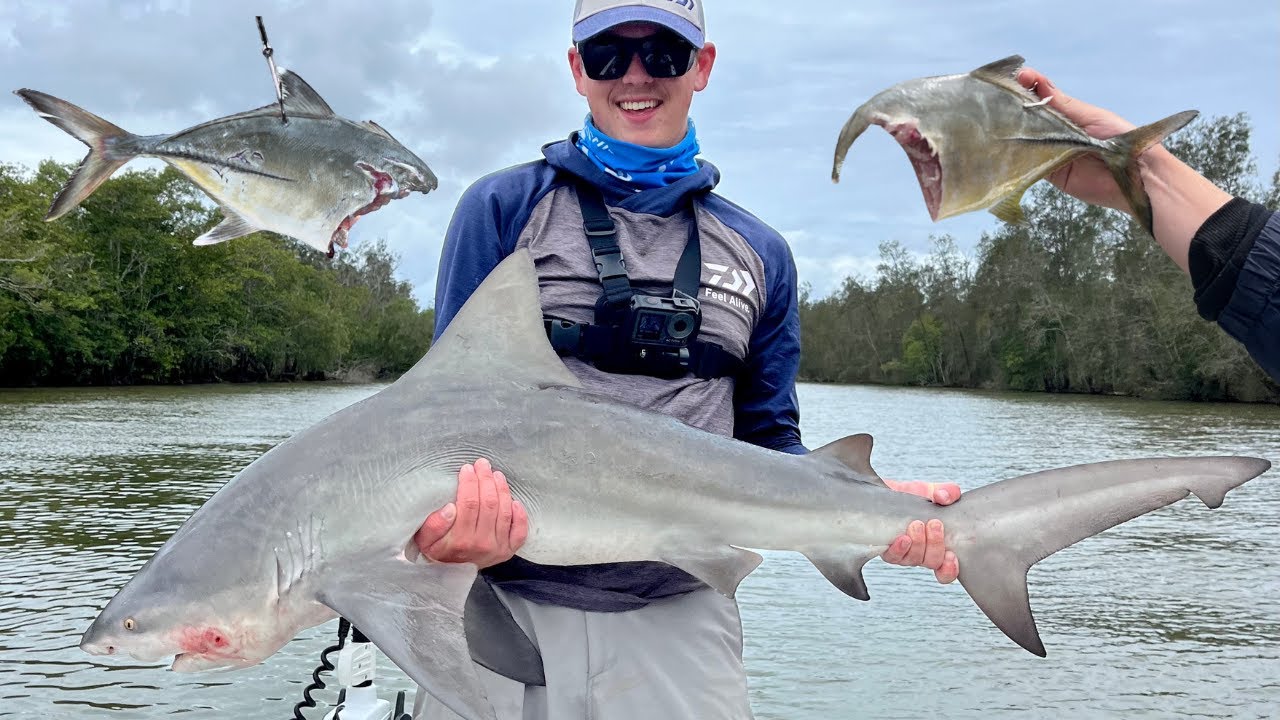 The Noosa River Is Full Of Sharks, Amazing Bull Shark Fishing