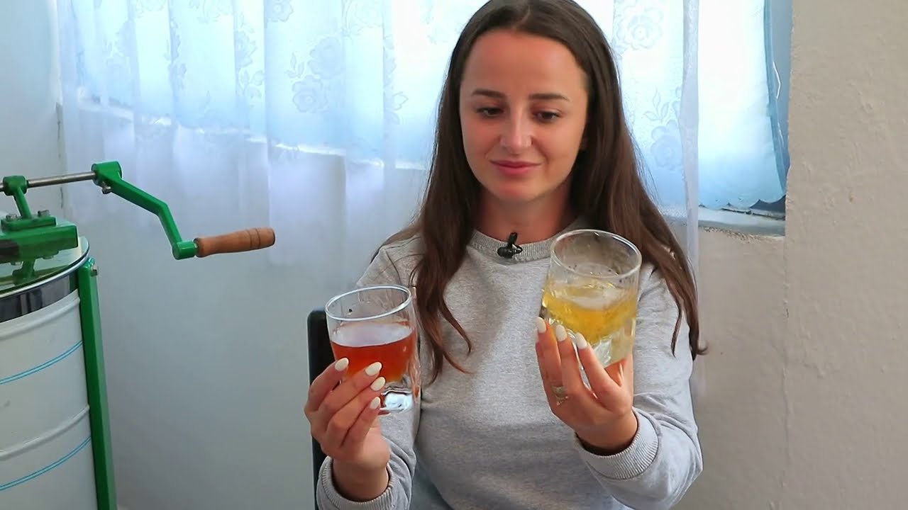 Mjalti i Tropojës/ Bletëritësit po nxjerrin prodhimin e rritur në pyjet e gështenjës