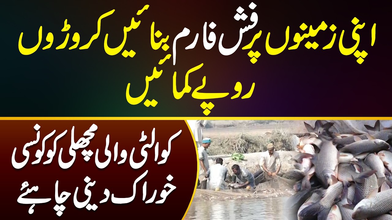 Fish Farming Business in Pakistan - Fish Farming Me Kitna Profit Hai? Konsi Fish Ki Demand Zyada Ha?