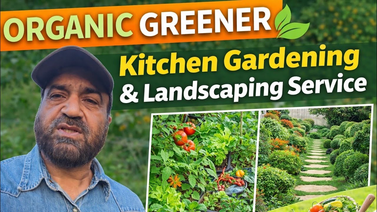 Organic Greener Kitchen Gardening & land scaping