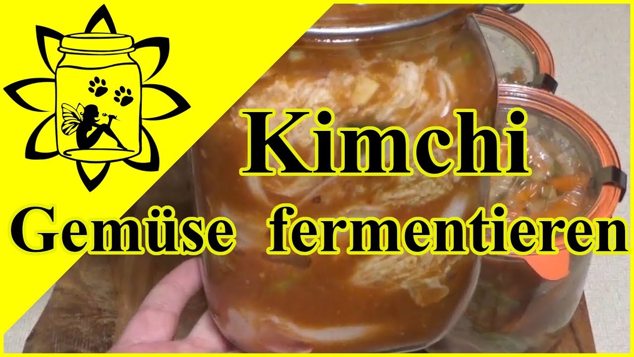 Kimchi Gem&uuml;se fermentieren | Milchsauer eingelegt & haltbar machen