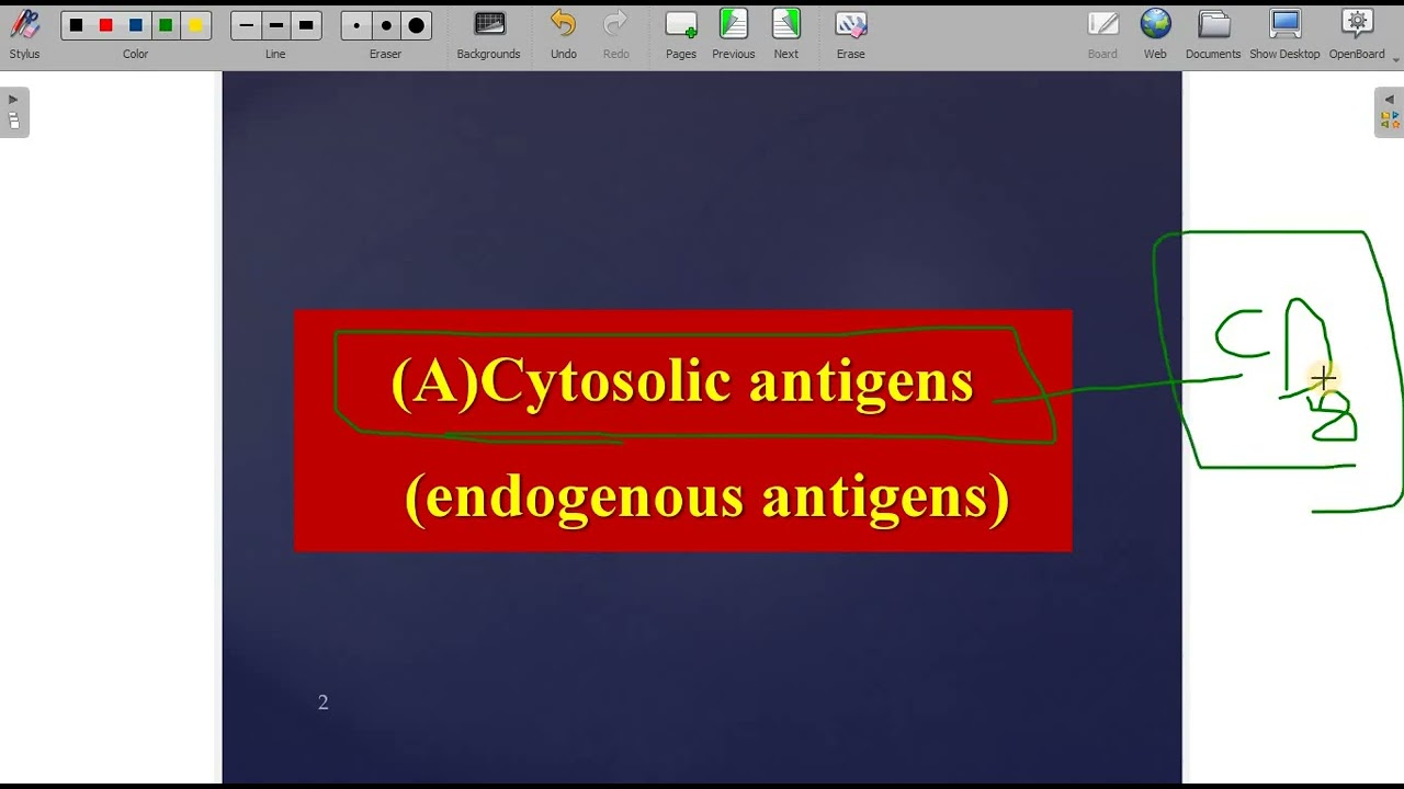 Cell mediated immunity:  PART (2)