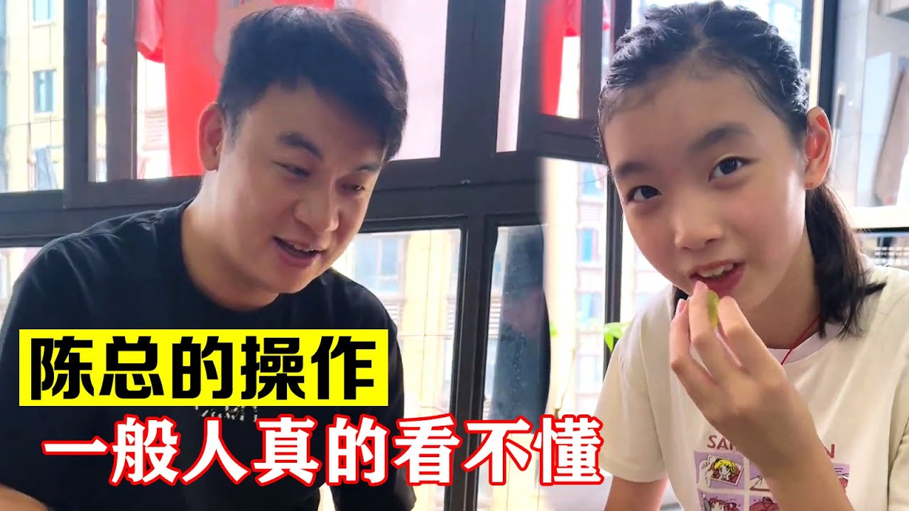 陈总的操作，一般人真的看不懂【海派大龙】#海派大龙 #三农 #相亲