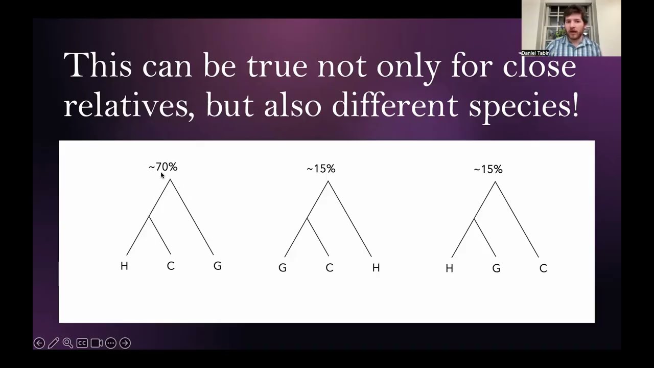 Ancient DNA Methods Video 2: Gene Genealogies / Gene Trees