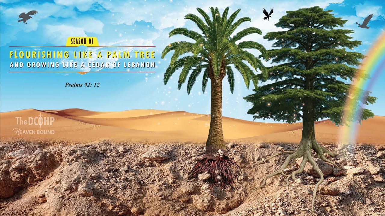 CHIREDZI LIVE SERVICE - 14/03/2026