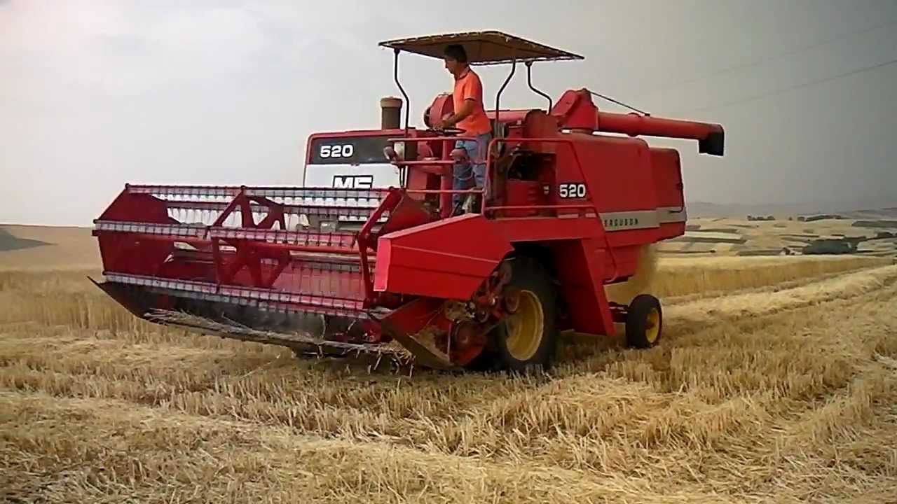 trebbiatura 2012 con massey ferguson 520