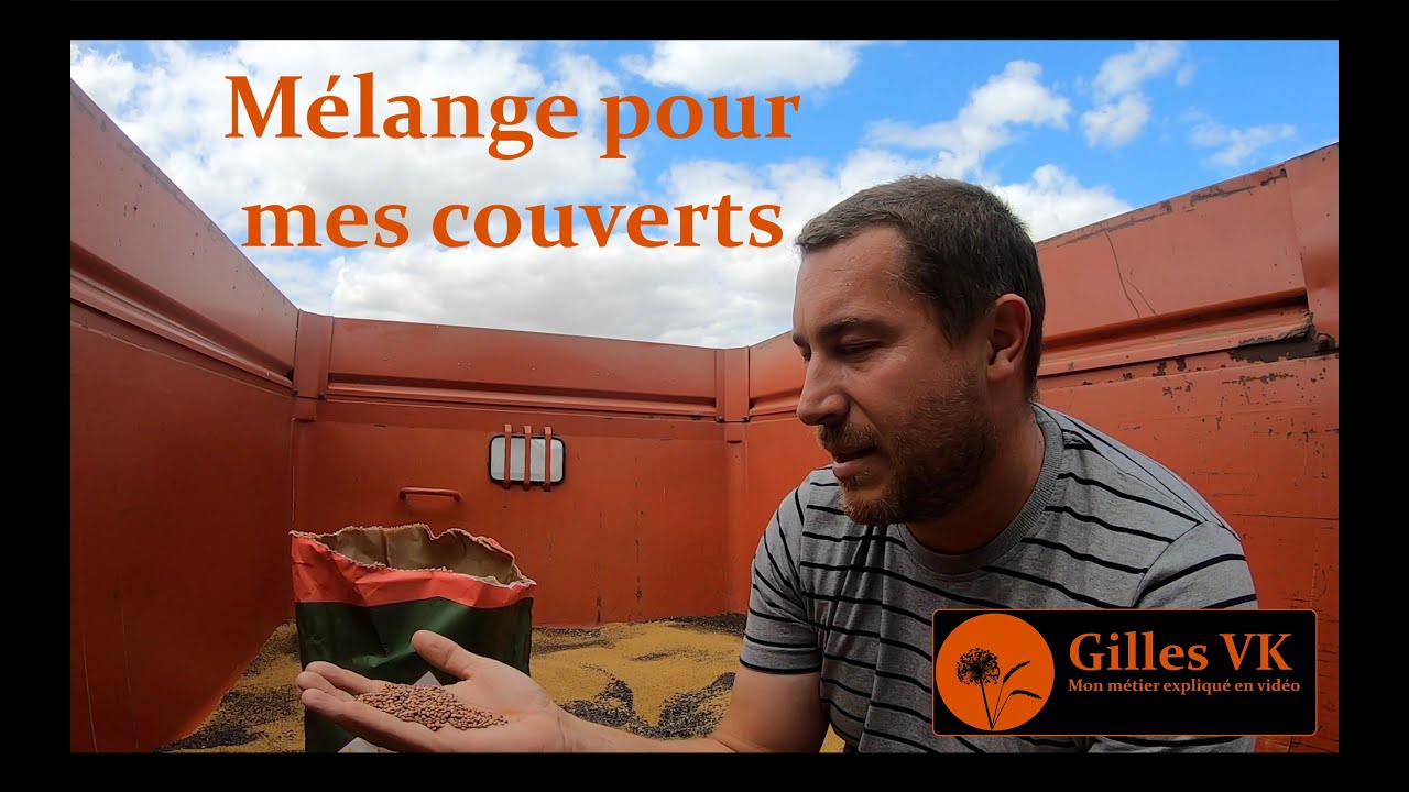 Comment je fais mes mélanges de semence pour mes couverts