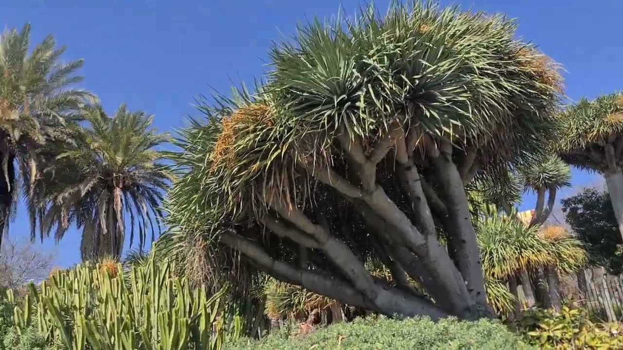 Parque La Paloma Benalmadena