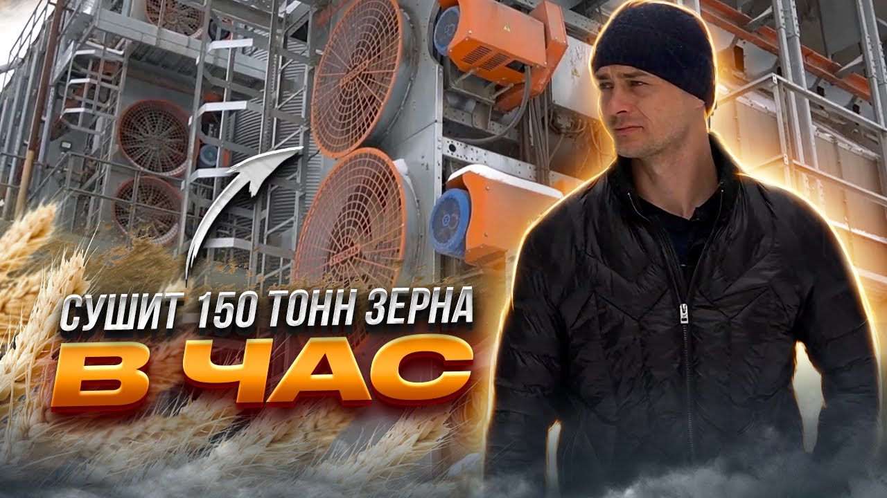 Сушка зерна | Зерносушилка STUURMAN | Отзыв спустя 5 лет